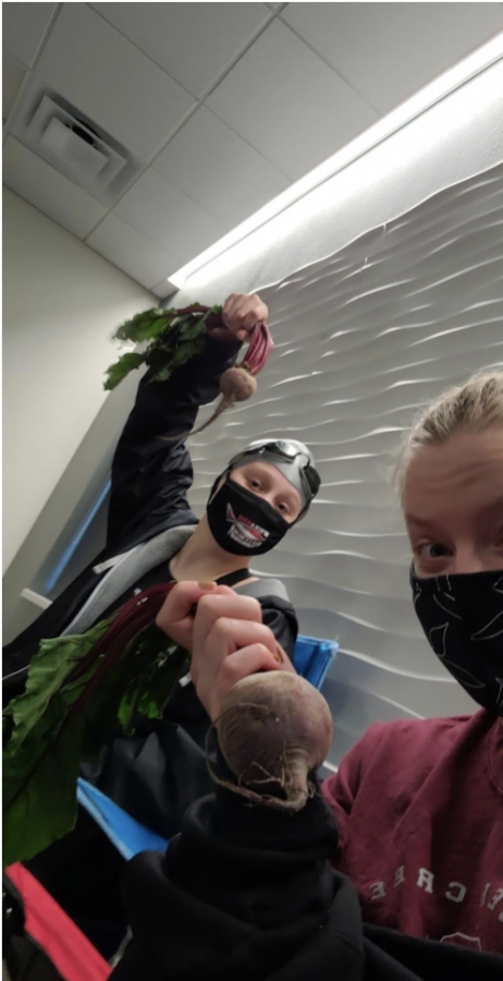 Anna Heydt (farthest from camera) and Kylie Dirks (closest to camera) hold up beets in preparation for their conference tournament. Photo from Kylie Dirks 