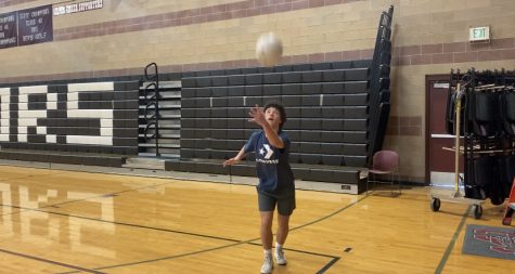 Boys Volleyball Coming to Local High Schools