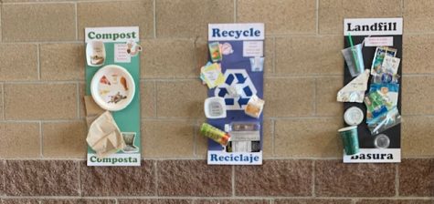 Models made by Eco-club, placed in the cafeteria, inform students what goes in each bin.