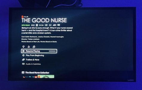 The Good Nurse description on Netflix.