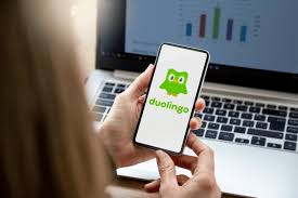 A picture of the Duolingo loading screen indicating that the user is using the app